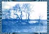 Landschaft